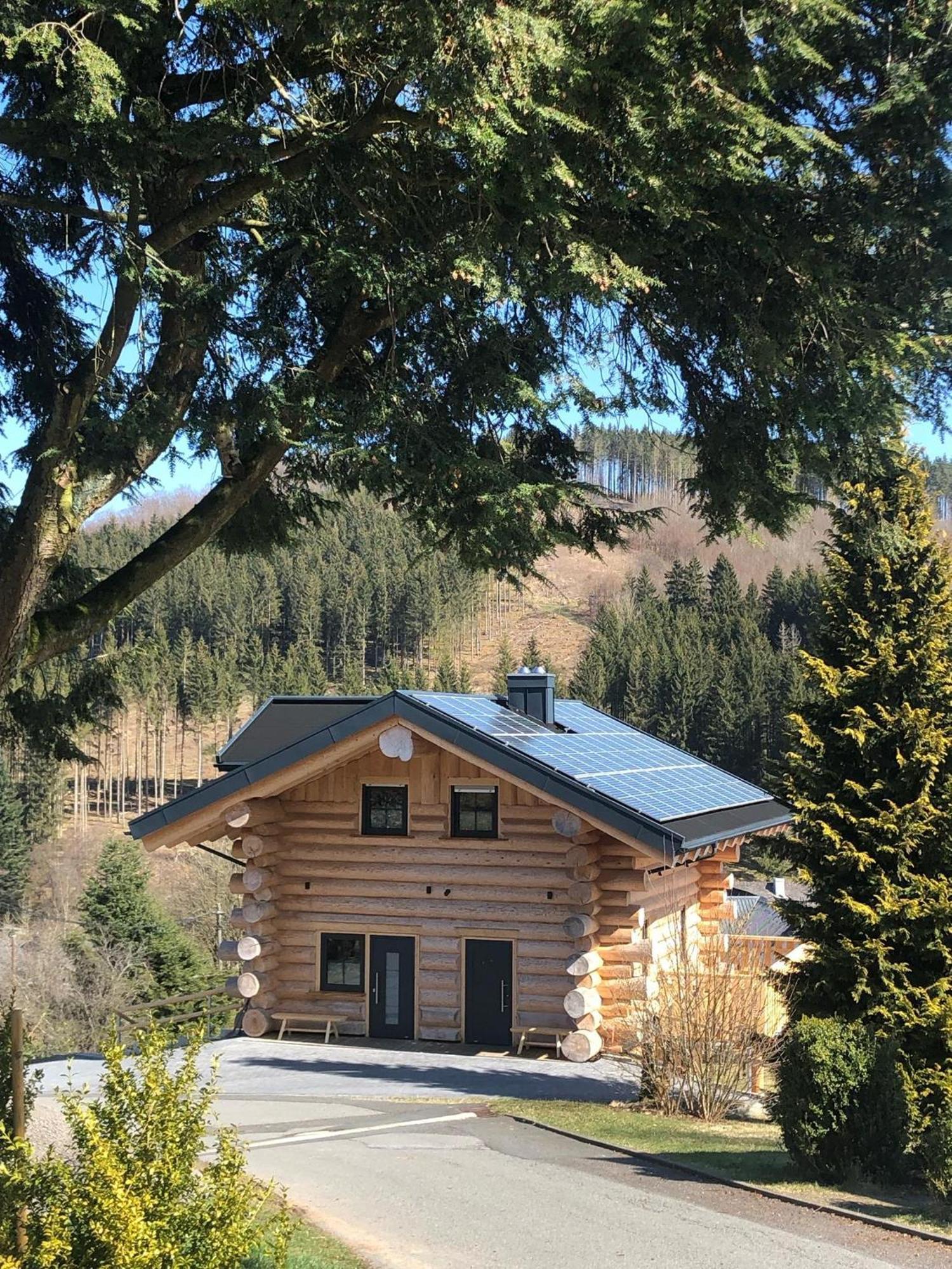 Fichtenhaus Am Wisentpfad Holiday home Bad Berleburg
